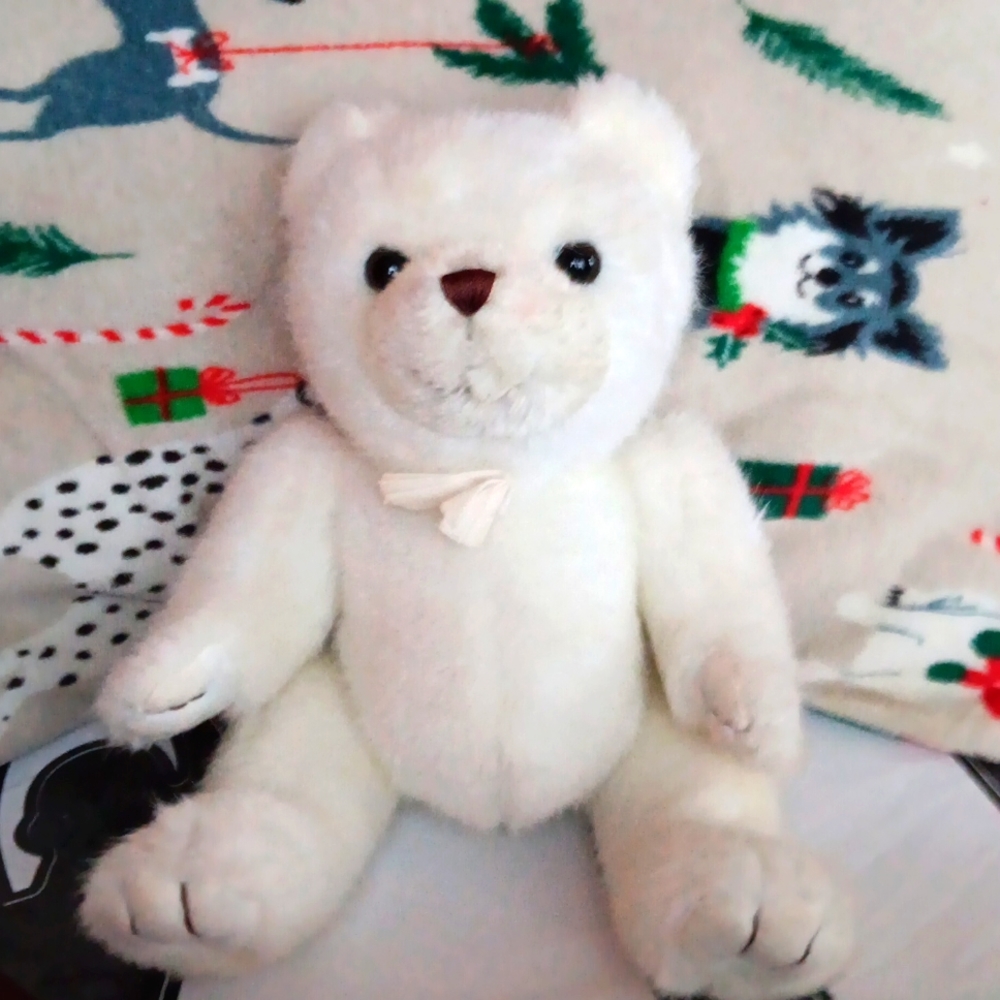 White snowy Polar bear